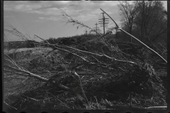 2359_After the Connecticut River had subsided near Hatfield, Massachusetts