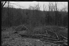 2372_Resettlement work near Kingston, New York, Ulster County