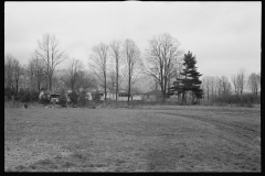 2378_The Jewish poultry cooperative at Liberty, New York