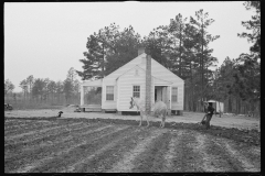 2396_Probably  first ploughing of land , Homestead,  Briar Patch Project, Eatonton, Georgia.