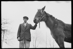 2436_Neglected horse with and owned by rehabilitation client