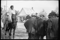 2535_ Judging the Horses  at the fair, Albany, Vermont