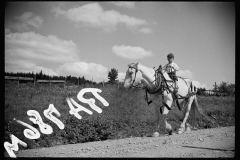 2546_ Farm boy and horse east of Lowell, Vermont