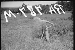 2547_Clearing ground with scythe , probably Lowell Vermont.