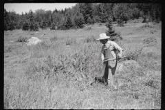 2555_Clearing ground with scythe , probably Lowell, Vermont.