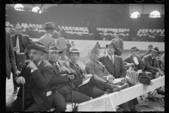 2582_ Cattle experts at the stock show, Eastern States Fair, Springfield, Massachusetts