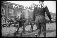 2585_ Dynamometer used in  horse-pulling contest, Eastern States Fair, Springfield, Massachusetts