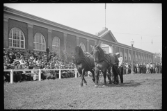 2586_Dynamometer used in  horse-pulling contest, Eastern States Fair, Springfield, Massachusetts