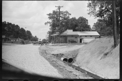 2593_Roadside scene, approach to Moundville , Alabama.