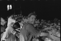 2664_A worker at  the grapefruit canning plant ,  Winter Haven, Florida