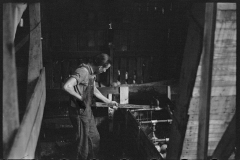 2665_A worker at  the grapefruit canning plant ,  Winter Haven, Florida