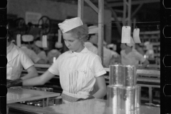 2668_Women workers , many migrant, canning grapefruit ,  Winter Haven , Florida