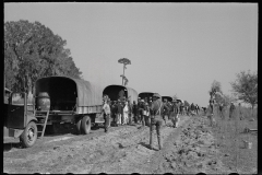 2684_Trucks used in planting operations, Withlacoochee Land Use Project, Florida