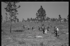 2686_US Resettlement Administration ,   Withlacoochee Land Use Project, Florida