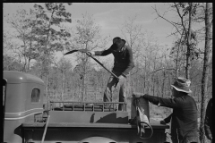 2687_Fire fighting crew getting ready to put out a fire, Withlacoochee Land Use Project, Florida