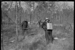 2690_Putting out a small forest fires, Withlacoochee Land Use Project, Florida