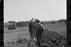 2740_Ploughing by horse at Gee's Bend, Wilcox County, Alabama