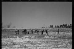 2748_Planting slash pine, Tuskegee Project, Macon County, Alabama,