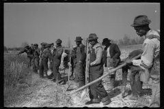 2749_Planting slash pine, Tuskegee Project, Macon County, Alabama,