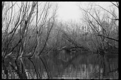 2755_Beaver dam, Tuskegee Project, Macon County, Alabama