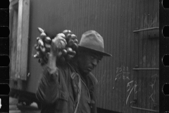 2766_Unloading Bananas. on the dock, Mobile, Alabama