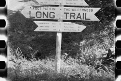 2811_Signpost and Marker on the Long Trail, Eden Mills ,Vermont