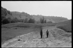 2822_Cutting_hay_Windsor_County,  Vermont