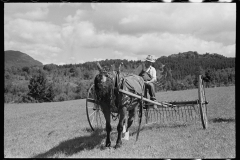 02875_Frank Kinney abord a hay rake, Eden Mills, Vermont