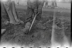 2939_ Levee workers Bird's Point Missouri