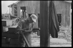 2940_ Worker at a pea vinery