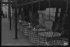 2944_Cans in Canning Factory near Sun Prairie, Wisconsin