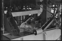 2946_Shelled peas falling to production  line , Canning Factory  Sun Prairie, Wisconsin