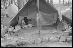 2958_Interior of migrant  Blueberry pickers' tent, near Little Fork, Minnesota