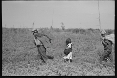 2981_ Pickers in Blueberry fields near Little Fork, Minnesota