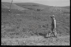 3004_Son of William Huravitch , carrying water from the source  to their home; . Williams County, North Dakota