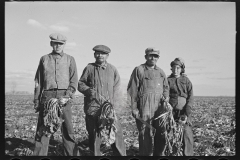 3014_Mexican sugar beet worker's family near East Grand Forks, Minnesota