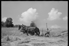 3072_Cutting hay, Windsor County, Vermont