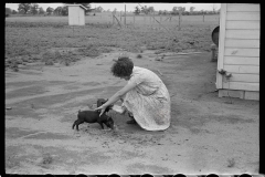 3083_ Hand rearing piglets , Wabash Farms, Indiana