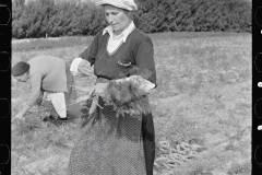 3160_Woman picking carrots, Camden County, New Jersey