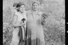 3163_Cranberry pickers  Burlington County, New Jersey