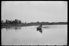 3171_Cranberry picker in boat , Burlington County, New Jersey