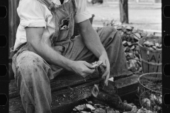 3185_ Shucking  and draining oysters, Bivalve, New Jersey