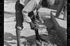 3202_Black American fisherman with crawfish ( Crayfish ) , Key West, Florida