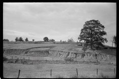 3224_Eroded farmland, Indiana