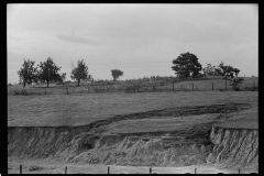 3225_Eroded farmland, Indiana