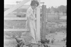 3285_Feeding chickens, Wabash Farms, Indiana