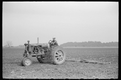 3290_ Farmall row crop Tractor in use , Wabash Farms, Indiana