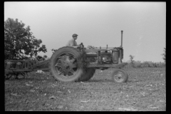 3291_Farmall row crop Tractor in use , Wabash Farms, Indiana