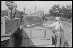 3325_ Corn cribs being loaded central Ohio