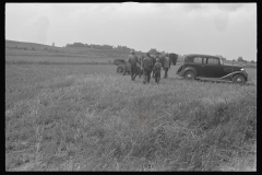 3328_ Possibly part of a threshing team /scene , central Ohio